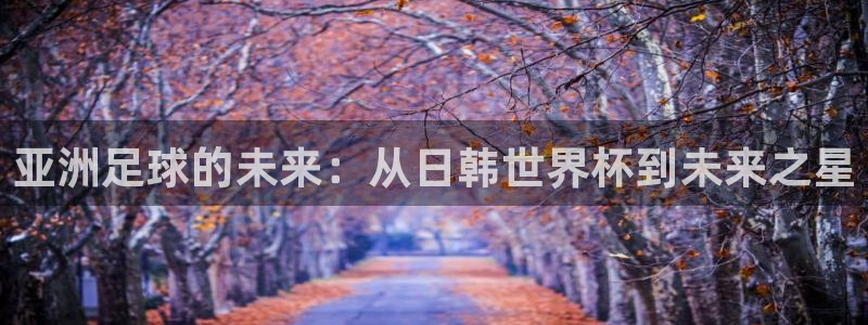 世界杯官网入口：亚洲足球的未来：从日韩世界杯到未来之星