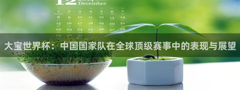 2026 世界杯：大宝世界杯：中国国家队在全球顶级赛事中的表现与展望
