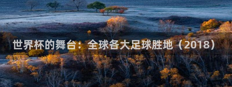 2026世界杯中国队：世界杯的舞台：全球各大足球胜地（2018）