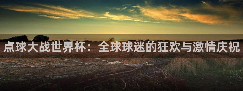 足球杯：点球大战世界杯：全球球迷的狂欢与激情庆祝