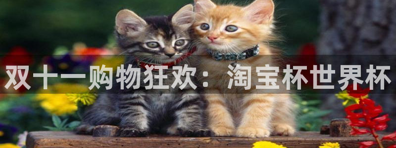 2026年世界杯赛程：双十一购物狂欢：淘宝杯世界杯
