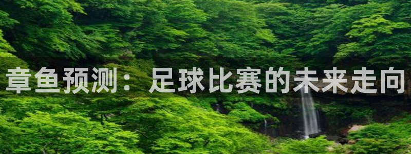 2026世界杯中国队：章鱼预测：足球比赛的未来走向
