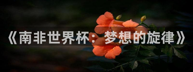 世界杯直播在线观看入口：《南非世界杯：梦想的旋律》