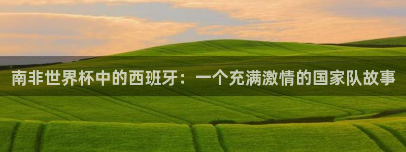 2026世界杯日期：南非世界杯中的西班牙：一个充满激情的国家队故事