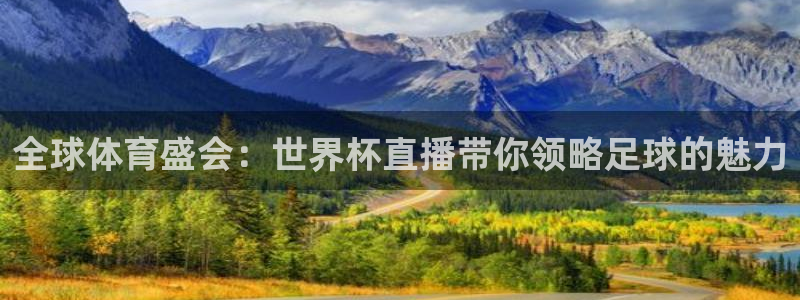 欧联杯直播：全球体育盛会：世界杯直播带你领略足球的魅力