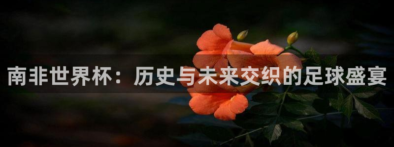 世界杯决赛预测：南非世界杯：历史与未来交织的足球盛宴