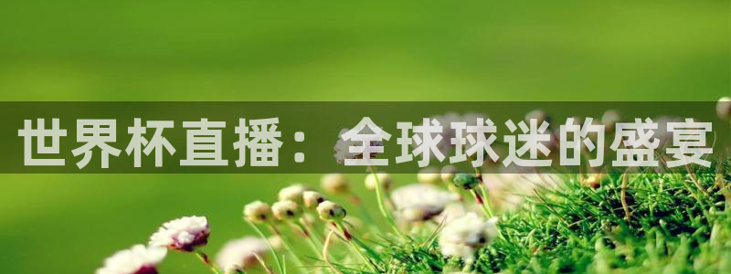 2026年世界杯：世界杯直播：全球球迷的盛宴