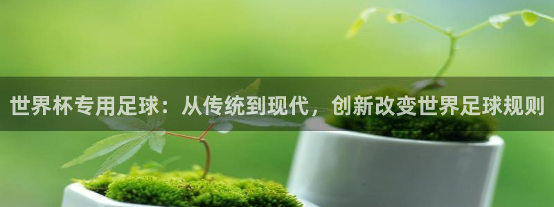 世预赛免费直播入口：世界杯专用足球：从传统到现代，创新改变世界足球规则
