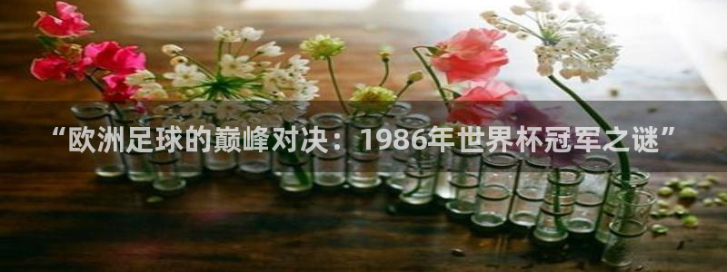 世界杯比赛时间：“欧洲足球的巅峰对决：1986年世界杯冠军之谜”