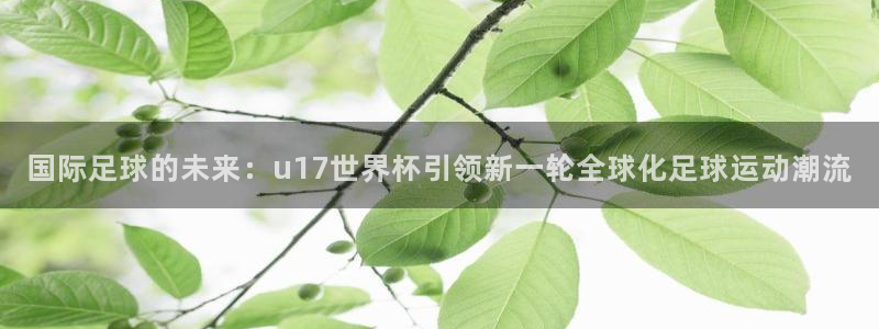 世界杯足球2026：国际足球的未来：u17世界杯引领新一轮全球化足球运动潮流