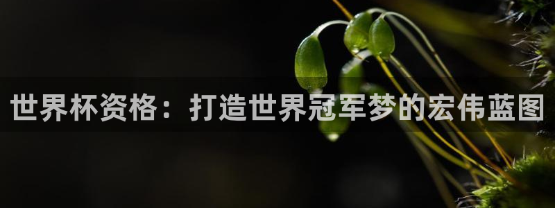 世界杯 中国：世界杯资格：打造世界冠军梦的宏伟蓝图